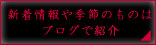 新着情報や季節のものはブログで紹介